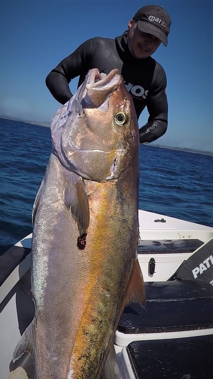 Jaco Blignaut 52kg amberjack new South African record spearfishing